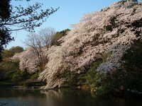  dscf0677.jpg 