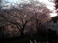  dscf0679.jpg 