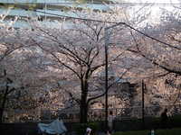  dscf0680.jpg 