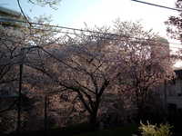  dscf0682.jpg 