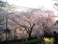  dscf0683.jpg 