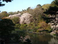  dscf0684.jpg 