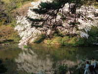  dscf0685.jpg 