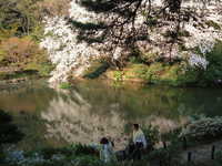  dscf0686.jpg 