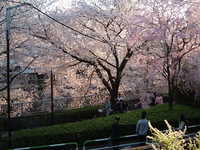  dscf0688.jpg 