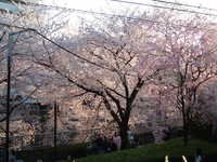  dscf0689.jpg 