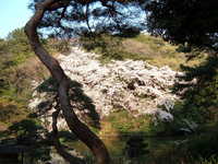  dscf0690.jpg 