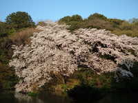  dscf0691.jpg 