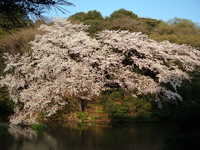  dscf0692.jpg 