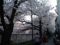  dscf0703.jpg 