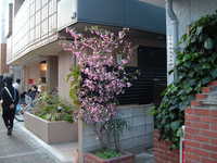  dscf0706.jpg 