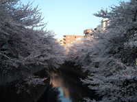  dscf0707.jpg 