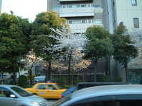  dscf0711.jpg 