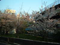  dscf0715.jpg 