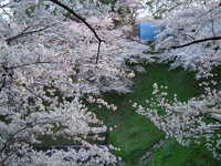  dscf0720.jpg 