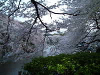  dscf0765.jpg 
