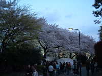  dscf0812.jpg 