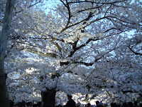  dscf0816.jpg 