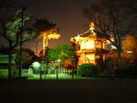  dscf0881.jpg 