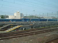  dscf0031.jpg 