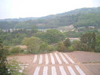  dscf0062.jpg 