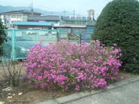  dscf0070.jpg 