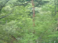  dscf0075.jpg 