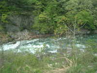  dscf0078.jpg 