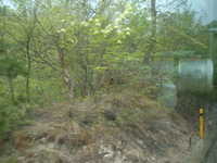  dscf0081.jpg 