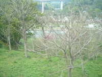 dscf0082.jpg 