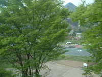  dscf0083.jpg 