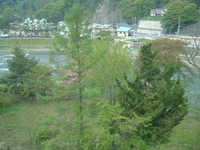  dscf0084.jpg 