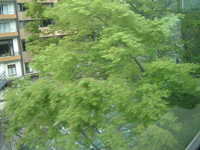  dscf0085.jpg 