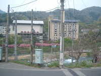  dscf0092.jpg 