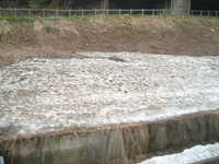  dscf0121.jpg 