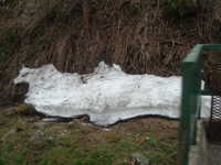  dscf0122.jpg 