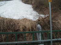  dscf0126.jpg 