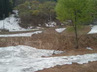  dscf0133.jpg 