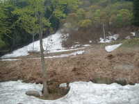  dscf0134.jpg 