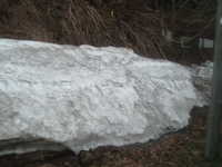 dscf0135.jpg 