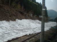  dscf0136.jpg 