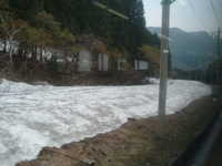  dscf0137.jpg 