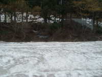  dscf0138.jpg 