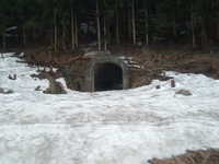  dscf0140.jpg 