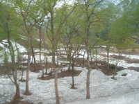  dscf0141.jpg 