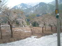  dscf0142.jpg 