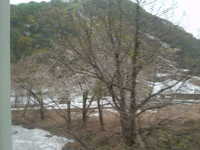  dscf0143.jpg 