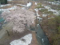  dscf0144.jpg 