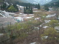  dscf0145.jpg 
