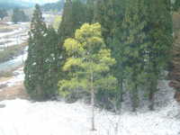  dscf0147.jpg 